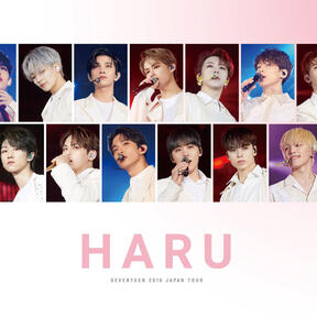 SEVENTEEN 2019 JAPAN TOUR HARU