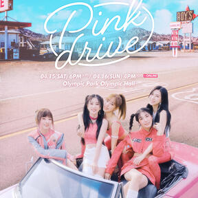 APINK FANCONCERT PINK DRIVE