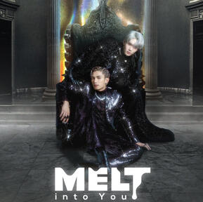 NET JAMES 1ST FAN CONCERT : MELT INTO YOU